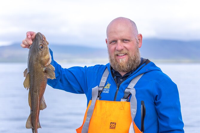 Sea Fishing Experience from Reykjavik - Faxaflói Bay boat ride: views, wind, and the chance of wildlife