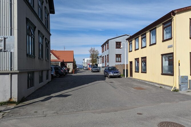 Self-Guided Tour of Ísafjörður: Art, History, and Architecture - Kerecis and the Unicorn Story: Fish Skin Technology with a Smile