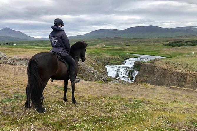 Short Riding Tour with Eye-Catching Photos at Waterfall - Guides on the ground: Ellen’s riding basics, plus Amrei in winter