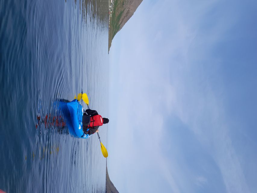 Siglufjörður / Siglufjordur: Guided kayak tour. - Why Sigló fjord kayaking feels different from walking around town