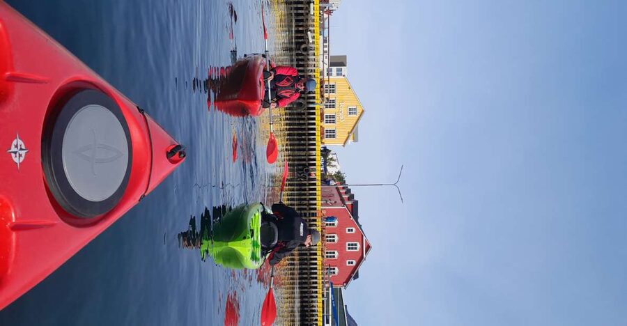 Siglufjörður / Siglufjordur: Guided kayak tour. - The route: shipwreck, Evanger avalanche site, and Selvíkurnef lighthouse