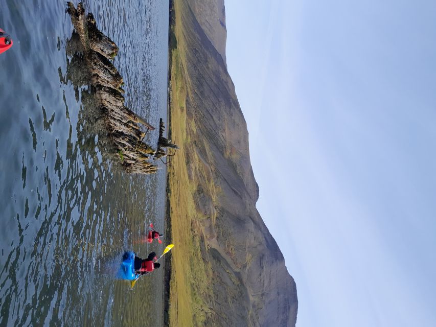 Siglufjörður / Siglufjordur: Guided kayak tour. - Local geology and nature: what your guide is teaching you