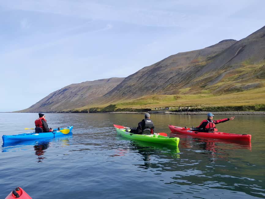 Siglufjörður / Siglufjordur: Guided kayak tour. - Paddling comfort: what the gear actually means for you