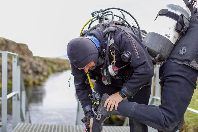 Silfra: Diving Between Tectonic Plates and Pick Up from Reykjavik - Cold-water comfort: dry suits, warm underlayers, and smart prep