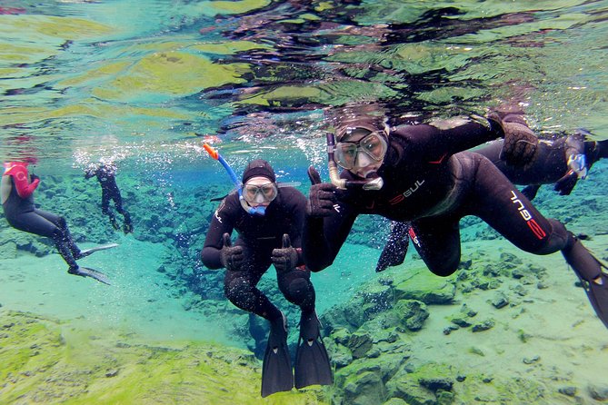 Silfra Drysuit Snorkeling with Free Photos - Meet on Location - Meet at Thingvellir, Then Gear Up Like a Pro