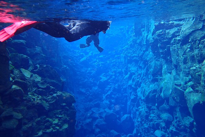 Silfra Fissure Snorkeling From Reykjavík - Free Underwater Photos - What the Guides Actually Do (and Why It Matters)