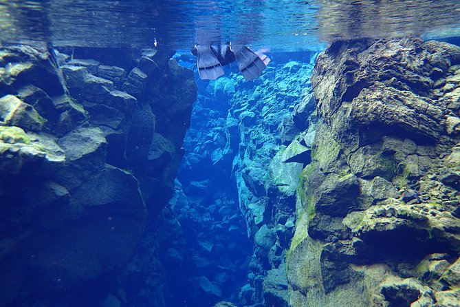 Silfra Fissure Snorkeling From Reykjavík - Free Underwater Photos - Gear and Comfort Checklist That Will Save You