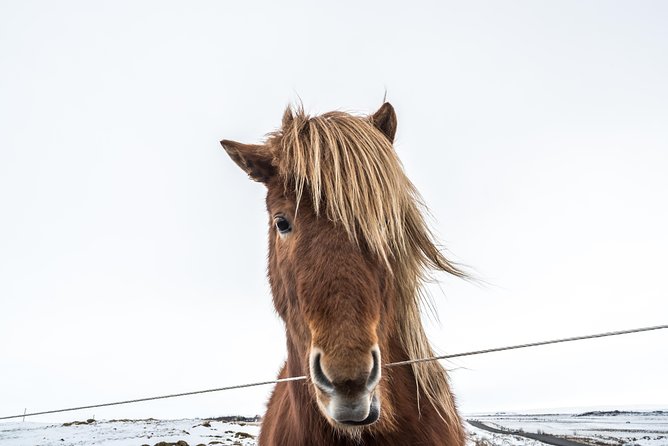 Small-Group Golden Circle Full-Day Tour from Reykjavik - Gullfoss Waterfall: Two Tiers of Power (And How to Enjoy It)
