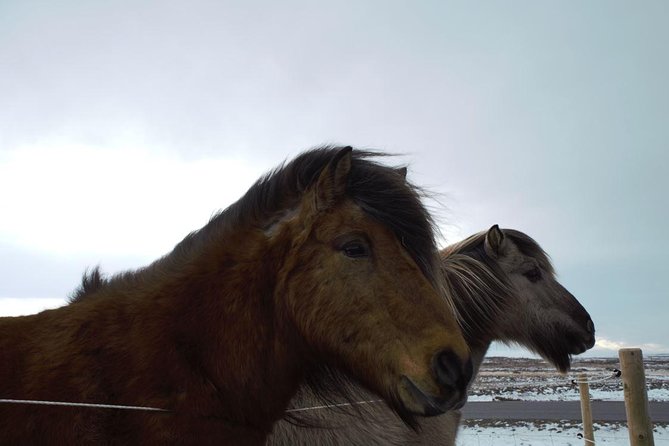 Small-Group Golden Circle Full-Day Tour from Reykjavik - The Day’s Flow: Pacing, Extra Stops, and On-Board Wi-Fi
