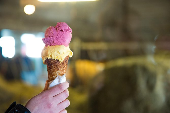 Small-Group Golden Circle Full-Day Tour from Reykjavik - What to Pack for a Wet, Windy Golden Circle Day
