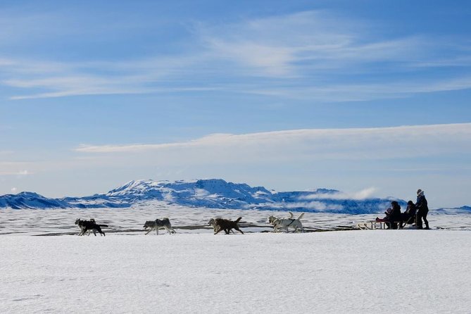 Small Group Husky Sledding Tour from Capital Region - Key reasons you will probably remember this