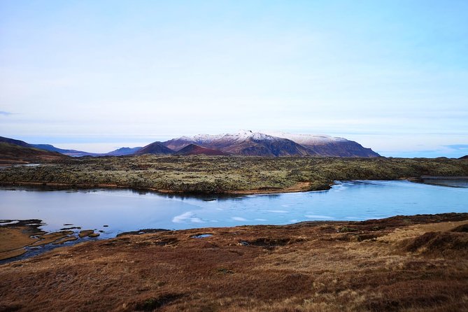 Small-Group Snaefellsnes National Park Day Trip from Reykjavik - Wildlife, Volcano Views, and Why the Stops Feel Balanced