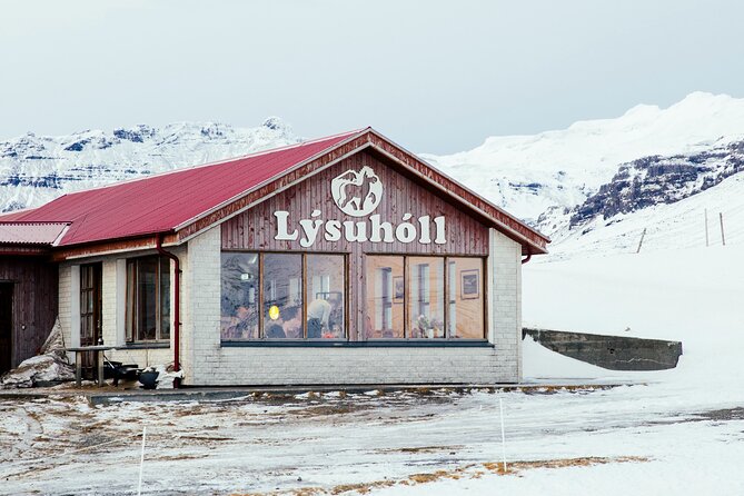 Snæfellsnes in Spanish with lunch on a farm Minibus - A Full-Day Taste of Snæfellsnes From Reykjavik