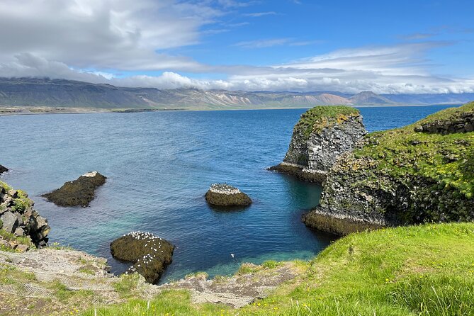 Snæfellsnes in Spanish with lunch on a farm Minibus - Arnarstapi to Hellnar coast walk: basalt columns, arches, and seabirds