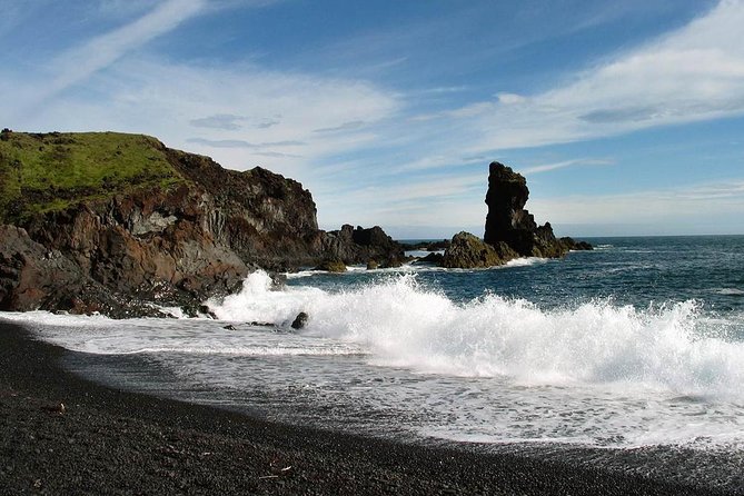 Snaefellsnes National Park and Natural Wonders from Reykjavik - The Stop That Often Delivers: Ytri Tunga Beach and Seal Watching