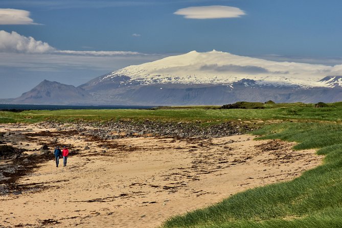 Snaefellsnes NP Small-Group Tour with Local Lunch from Reykjavik - Stop 4: Lunch at Samkomuhúsið Arnarstapa, Lamb Soup Worth Waiting For