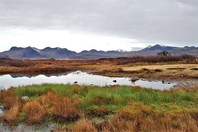 Snaefellsnes Peninsula Private Day Tour - up to 9 passengers - Private Up To 9, Pickup Anywhere in Reykjavik, and a Day That Stays Human