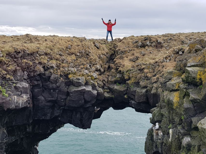 Snæfellsnes: Small-Group Hidden Treasures of The West Tour - Ytri Tunga seal beach, how to spot the colony without chasing