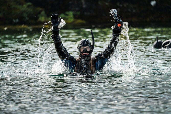 Snorkel the Silfra Fissure-Meet on Location (Free Photos & Cocoa) - Why Silfra is special for people who want more than beach snorkeling