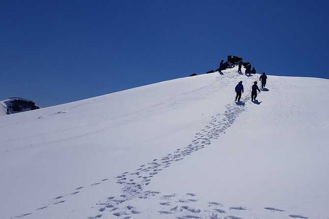 Snowmobile tour on Vatnajökull - Price and value: is $272 worth it for 3 hours on ice?