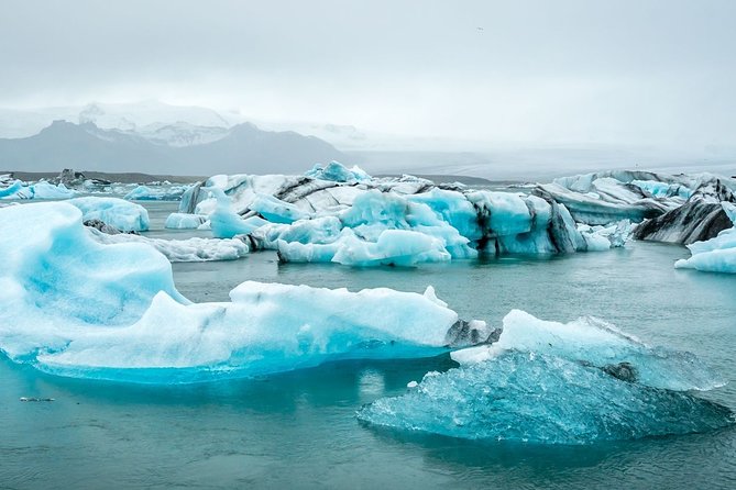 South Coast and Glacier Lagoon - Private - Stop 4: Reynisdrangar and the birdlife check