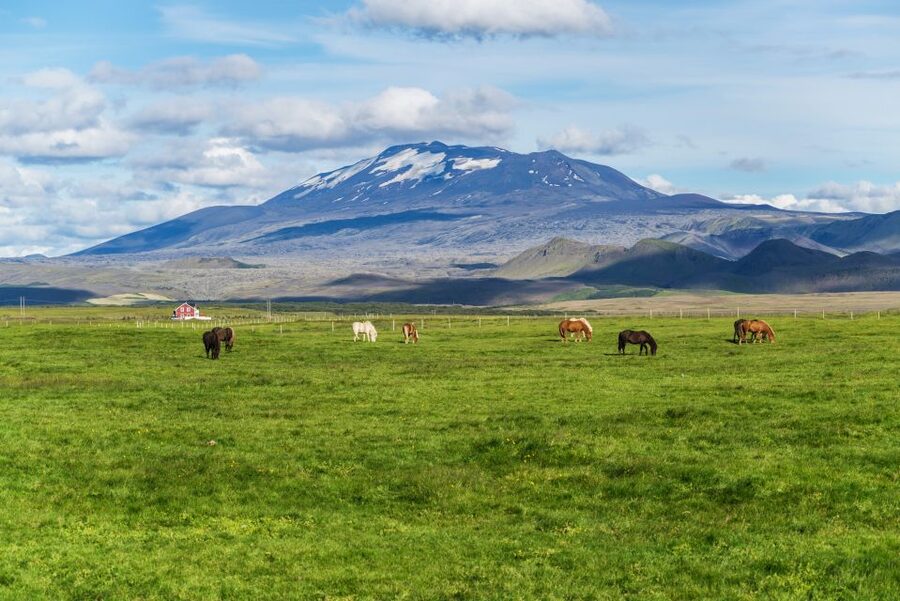 South Coast Classic: Full-Day Tour from Reykjavik - Key points to know before you go
