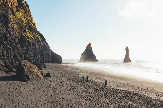 South Coast Day Tour Black Sand Beach & Waterfalls from Reykjavik - Guides Make or Break the South Coast Day
