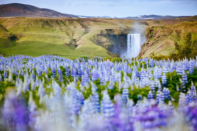 South Coast Iceland from Reykjavik with Guide & Touchscreen Audio - Skógafoss: the classic waterfall stop that rewards quick stairs and good timing
