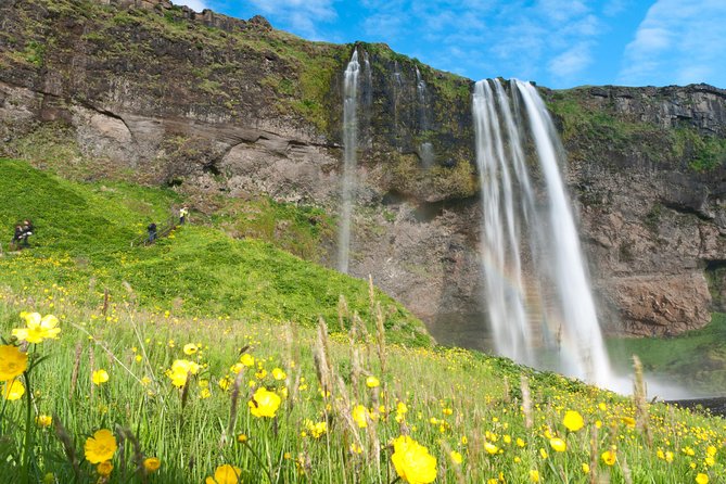 South Coast Sagas: Small Group Tour with Pick-up from Reykjavik - Vik for church photos, then Reynisfjara for black sand power