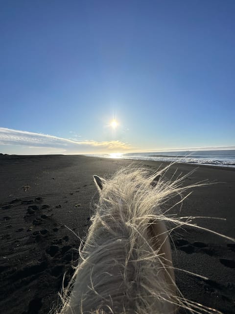 southern Iceland: Black beach riding tour - What to Wear for Iceland Wind and Wet Sand