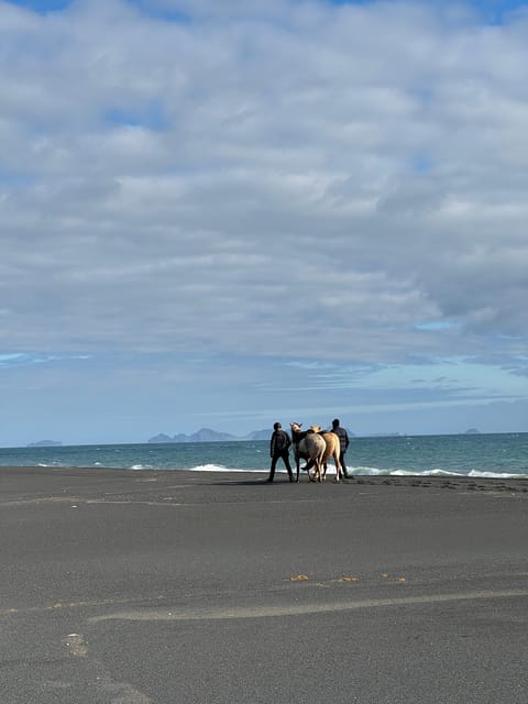 southern Iceland: Black beach riding tour - Value, Price, and Group Size at $194