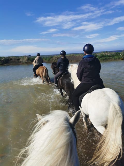 southern Iceland: Black beach riding tour - Meeting Point at Grímsstaðir and the Oddavegur Drive