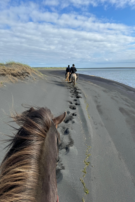 southern Iceland: Black beach riding tour - Should You Book This Black Beach Horse Ride?