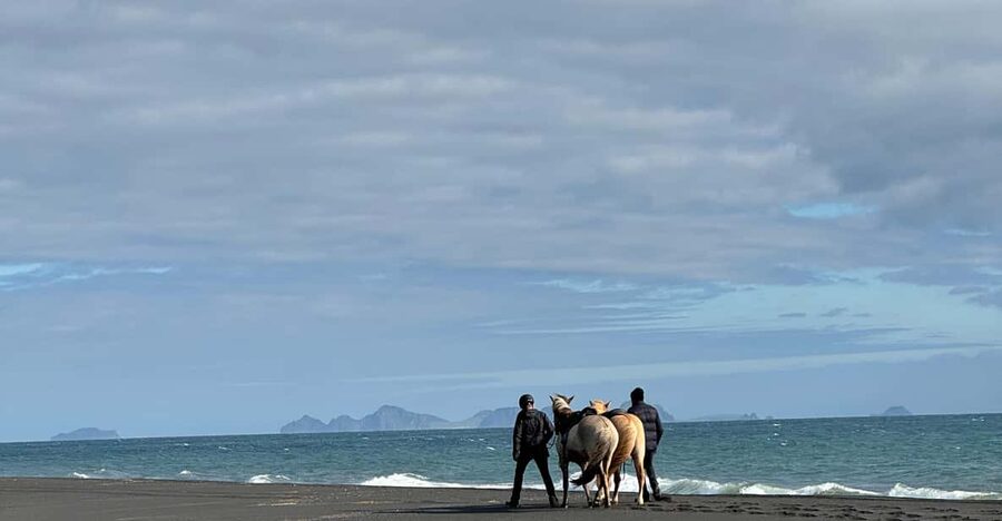 southern Iceland: Black beach riding tour - FAQ
