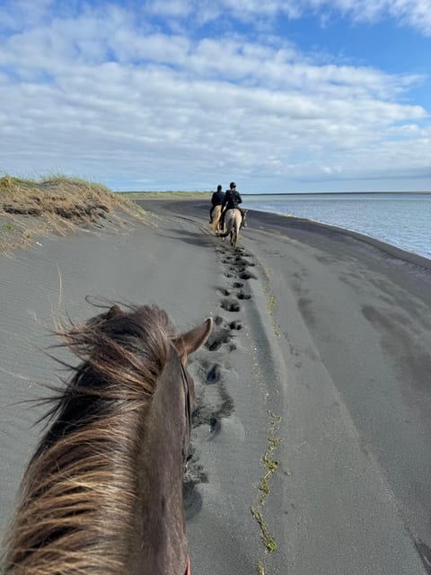 southern Iceland: Black beach riding tour - What Happens During the 2-Hour Ride