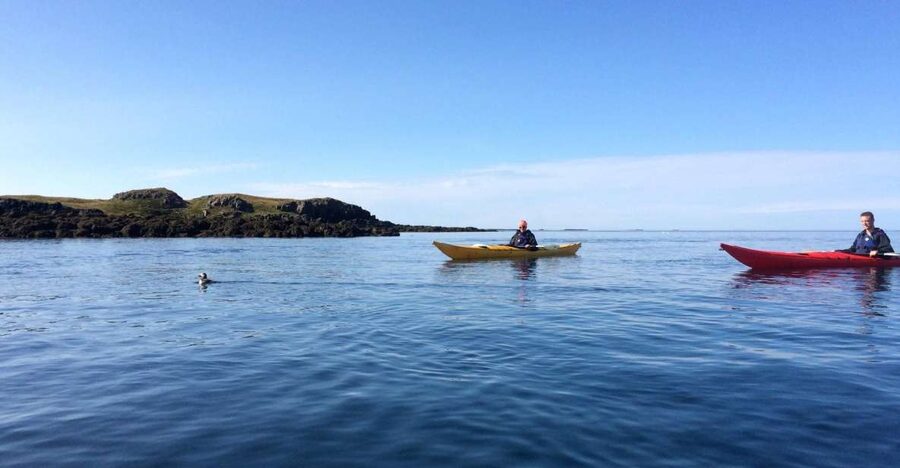 Stykkishólmur: 2-Hour Sea Kayak Tour - Key highlights at a glance