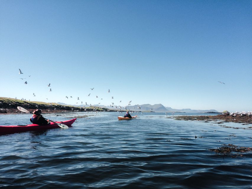 Stykkishólmur: 2-Hour Sea Kayak Tour - Stykkishólmur to the waterline: where the tour really starts