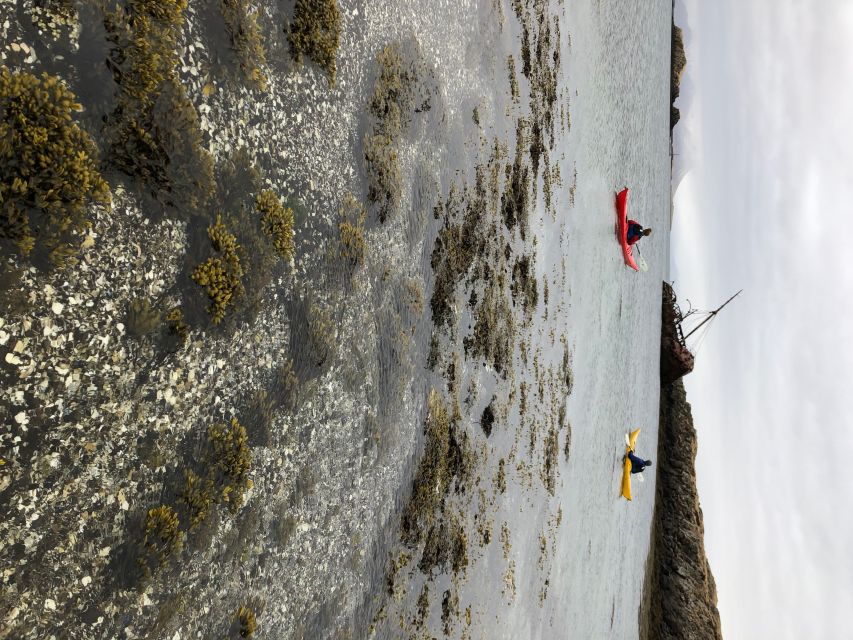 Stykkishólmur: 2-Hour Sea Kayak Tour - What you’ll get, and what you won’t