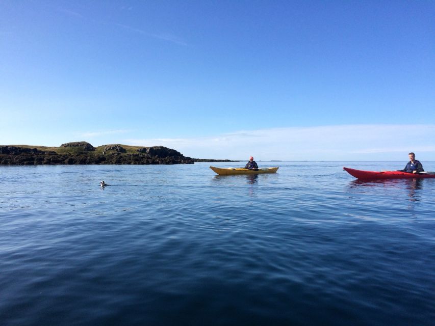 Stykkishólmur: 2-Hour Sea Kayak Tour - Breiðafjörður Bay from sea level: Landey and the eiderdown story