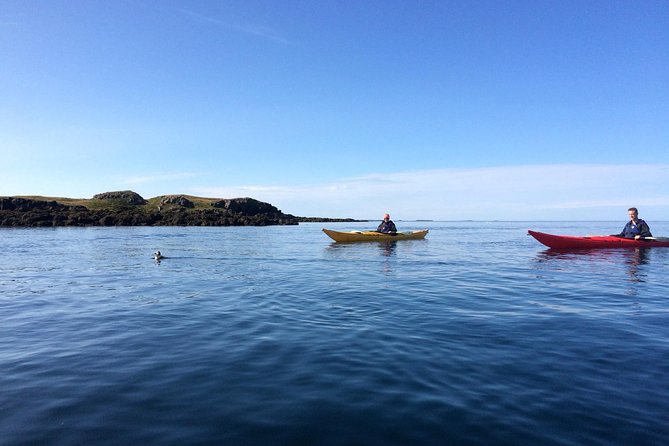 Stykkisholmur Sea kayak Day tour - Key things that make this tour worth your time