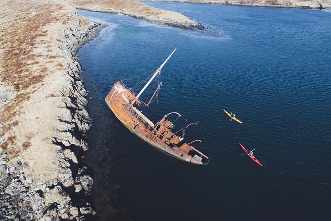 Stykkisholmur Sea kayak Day tour - Wildlife time: puffins, eider ducks, and seals up close