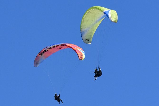 Tandem Paragliding Flights from Vik - The Reynisfjara Beach and Reynisdrangar stops, why they matter
