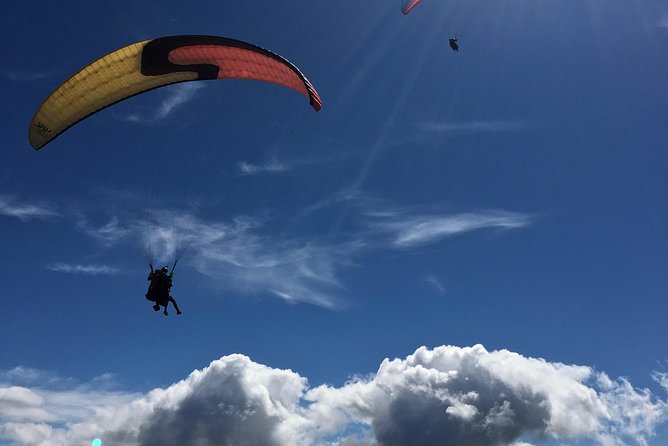 Tandem Paragliding over the Rugged Lava Fields at Blue Mountains - Landing Back on Earth: Wrap-Up and How the Day Flows