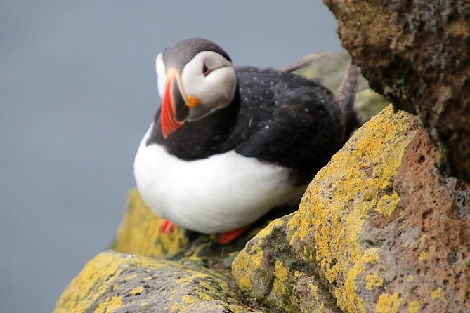 The Great Round Tour: Around Iceland in 13 Days - Price and value for a 13-day Iceland package