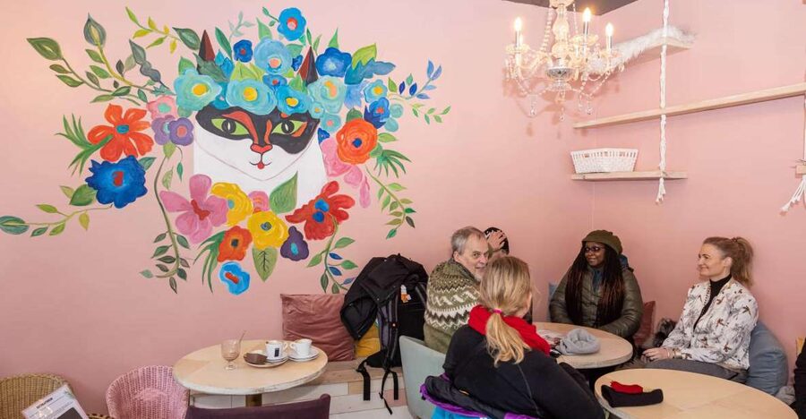 The Private Reykjavik CatWalk - Key highlights I think you will care about
