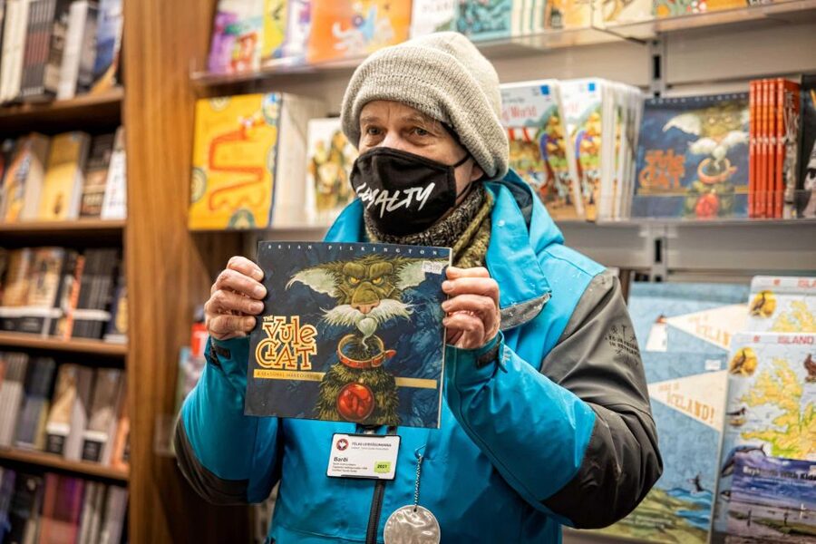 The Private Reykjavik CatWalk - A private cat-themed walking tour that stays practical