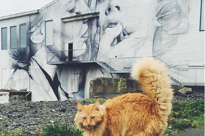 The Reykjavik Cat Walking Tour - Lake Tjörnin stop: the birds, the water, and a cat-themed pause