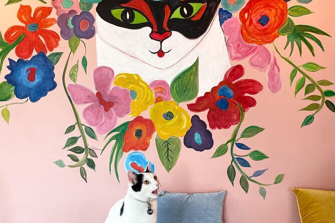 The Reykjavik Cat Walking Tour - The real highlight: Kattakaffihúsið cat café, hot drink, pastry, and pets