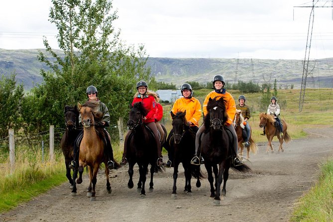 The Siggi Tour from Reykjavík: 1.5 to 2-Hour Ride - Key things to know before you ride