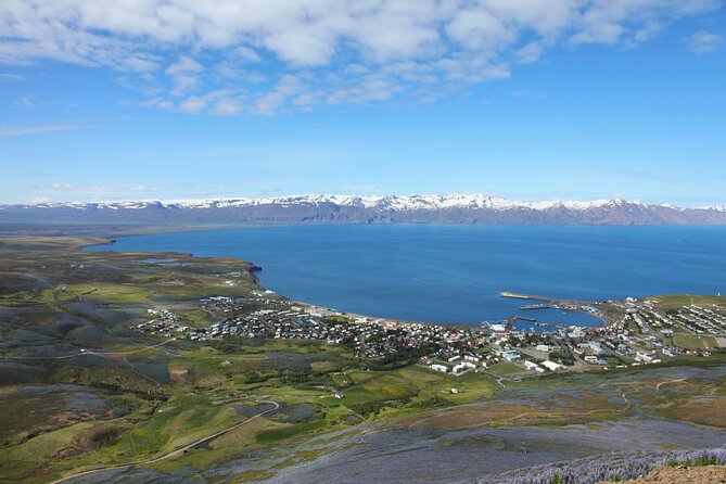 The Story of Fire Saga Eurovision: Netflix Húsavík Walking Tour - Húsavík Turns Into an Eurovision Set, Without Leaving Iceland Behind